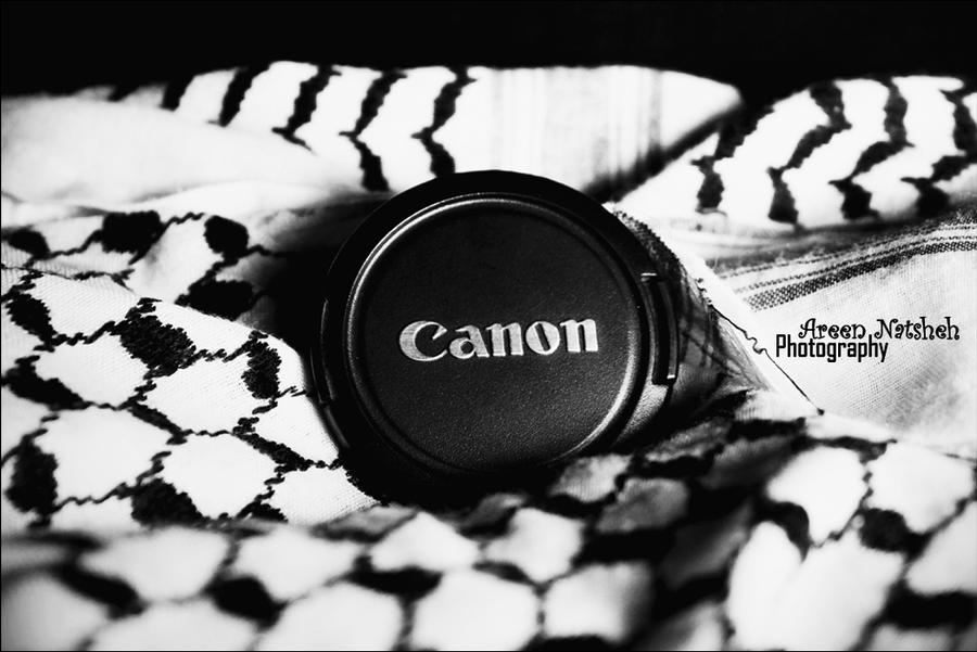 Palestine 'canon'