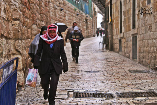 Jerusalem after the friday prayers