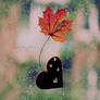 leaf and love