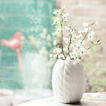 Little Bird by bebefromtheblock