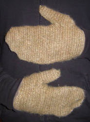 First mittens - Premieres moufles