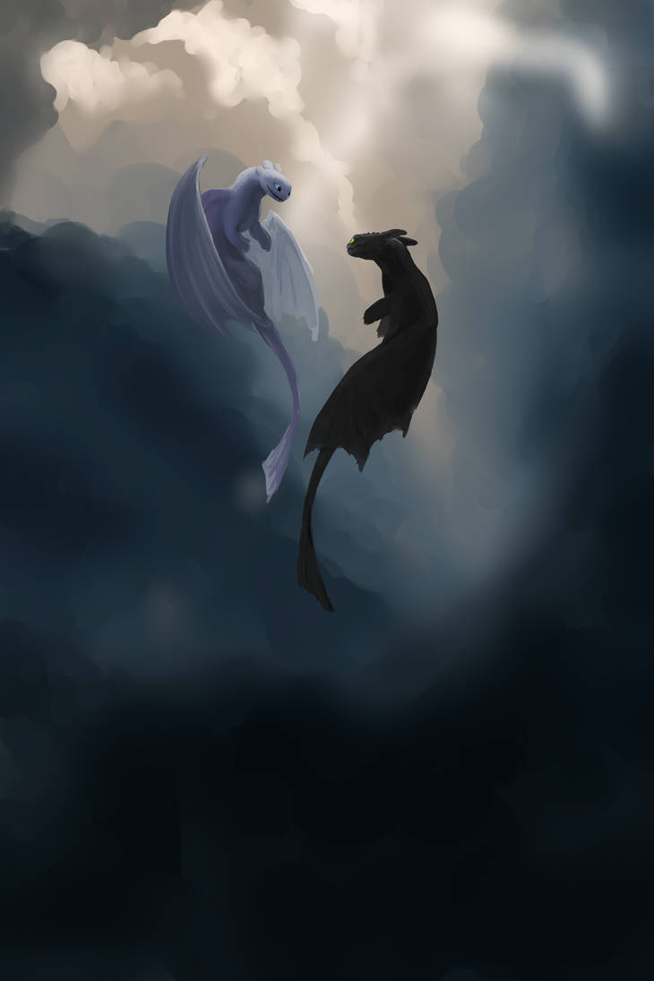 picture Toothless And Light Fury Flying Together to draw toothless and light fury flying