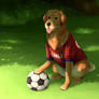 perro futbolero