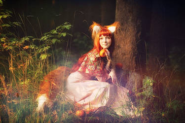 Spice and Wolf