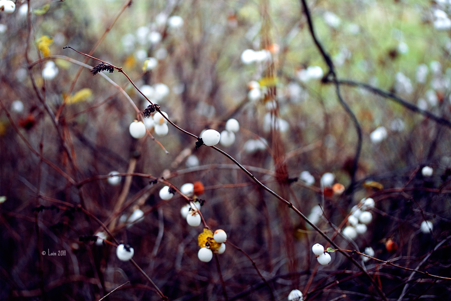 silence and wind