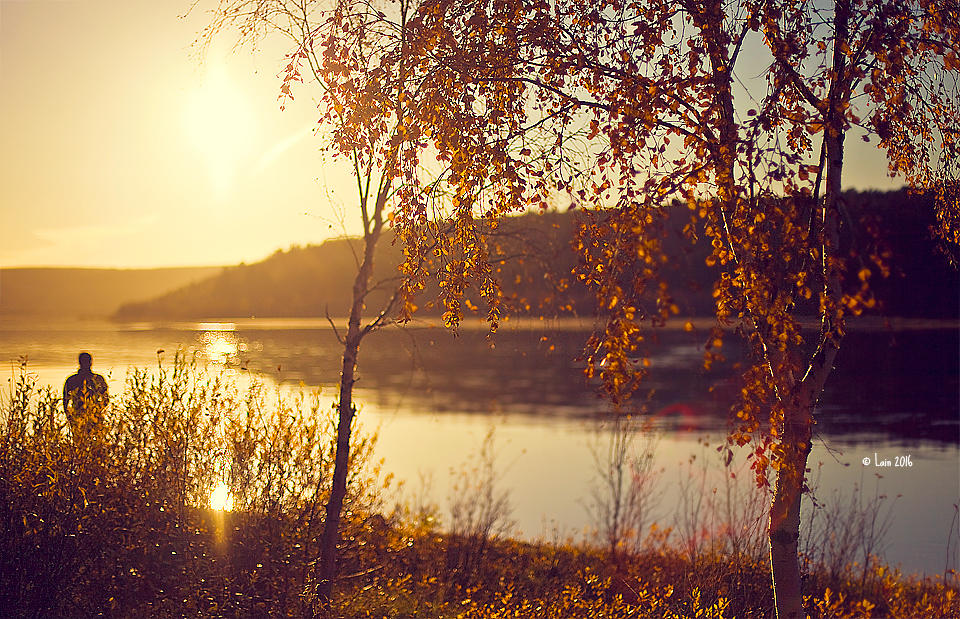 Autumn Sunset by Lain-AwakeAtNight