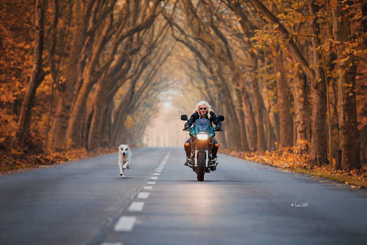 A girl, her bike and her dog