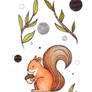 Polish Animals miniseries- squirrel