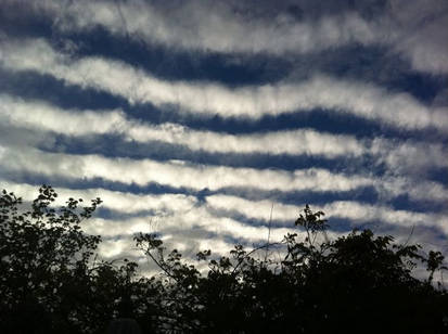 Striped Clouds Windsor CA