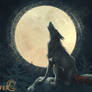 Lunar Calendar I - Wolf Moon