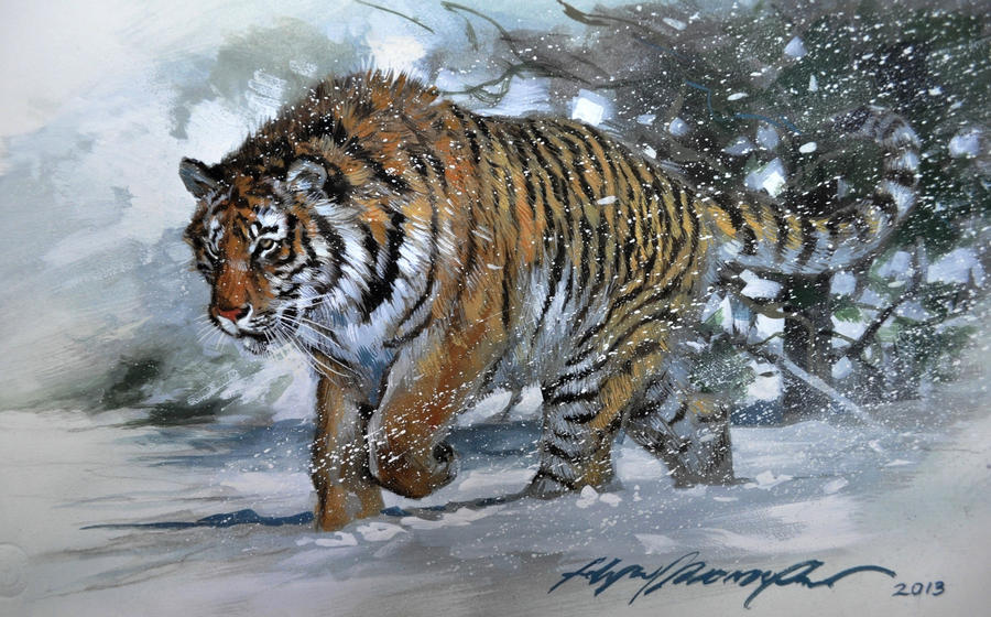 Tiger by felipemassafera on DeviantArt