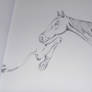 Horse in pencile