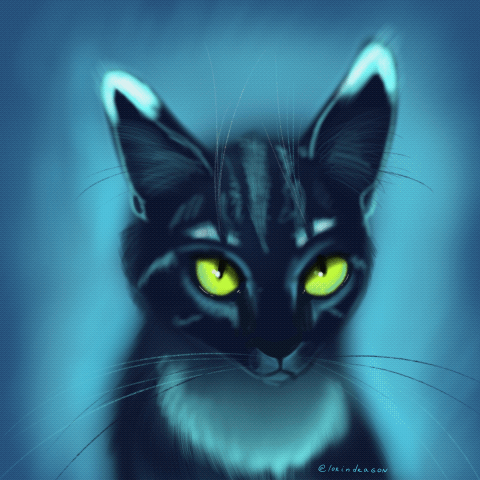 Funny Cat GIF by DarkGaia-BadAngel on DeviantArt