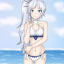 Summertime Weiss