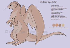 Deltora Quest: Kin -Final Design-