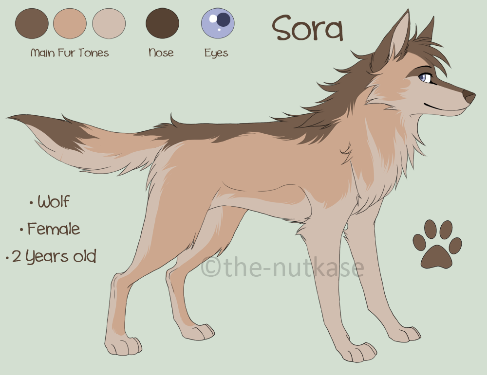 Sora Reference Sheet