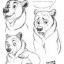 Brother Bear Sketches