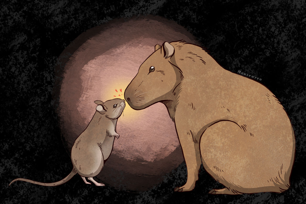 Rodent Love by Mousewren on DeviantArt