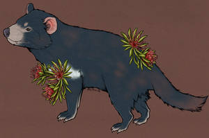 Tasmanian Devil