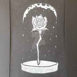 A rose in a jar.