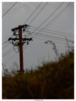 powerlines