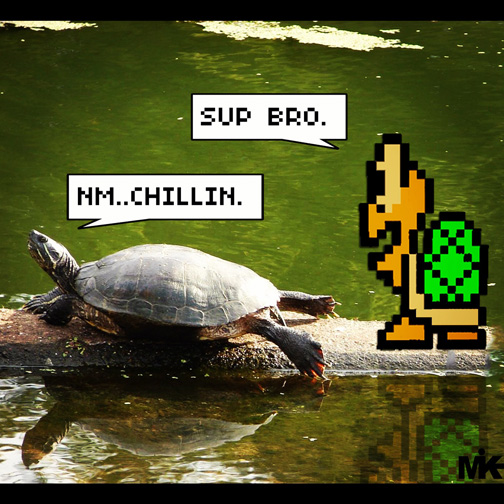 Turtle Talk