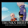 Dragon Ball Z Demotivational