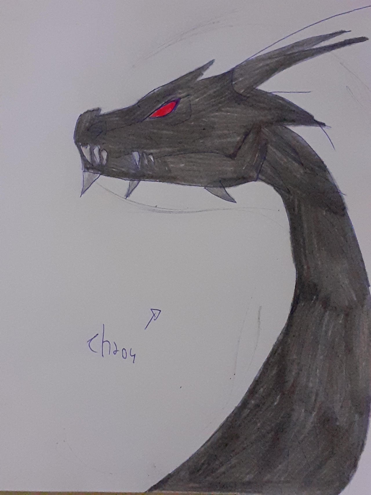 Chaos