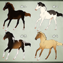 Horse Adoptable: Yearling Batch - SOLD OUT -