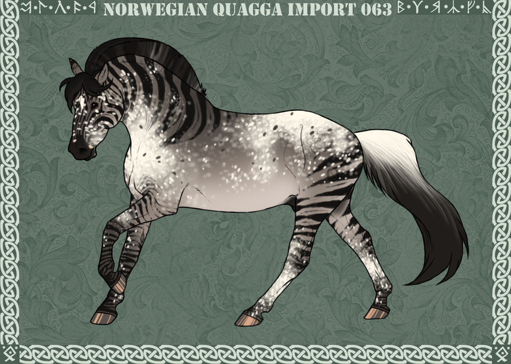 Norwegian Quagga Import:#063 - SOLD