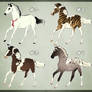 Horse Adoptable: Yearling Batch - SOLD OUT -