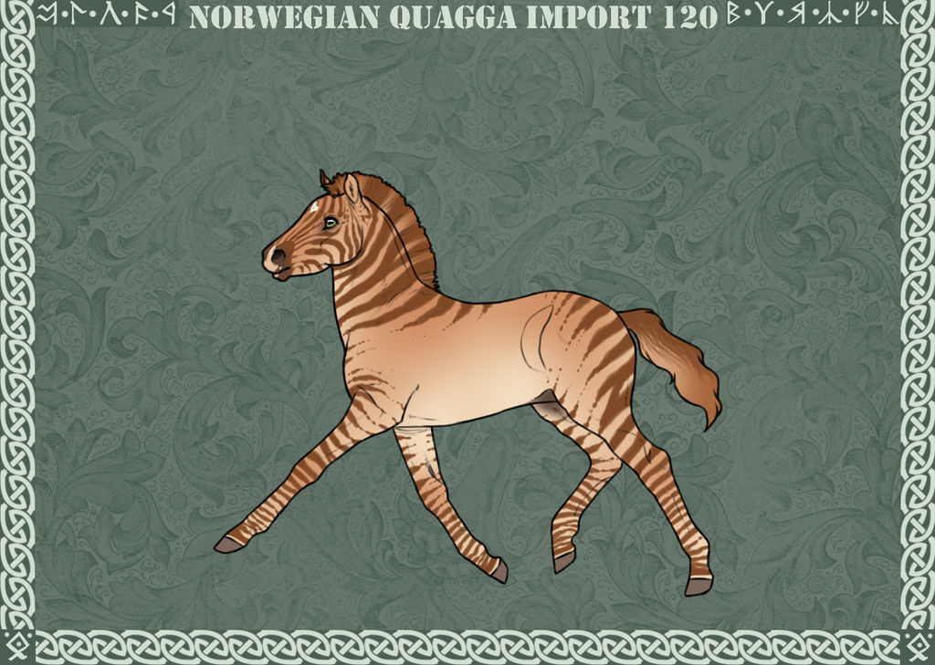Norwegian Quagga Import:#120 - Bred