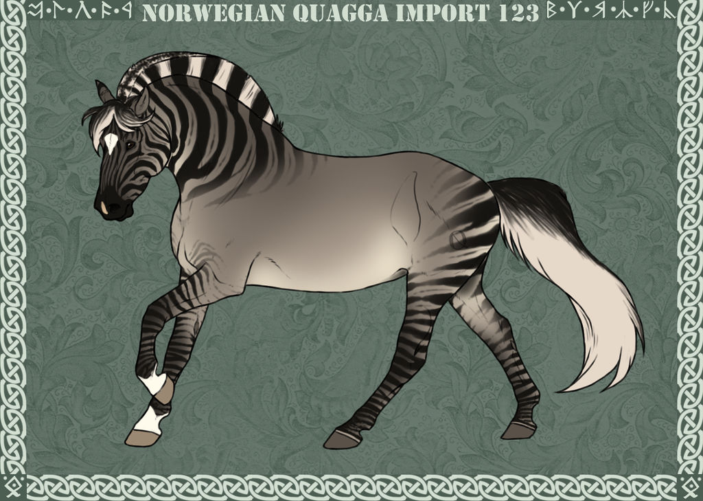 Norwegian Quagga Import:#123 - Bred