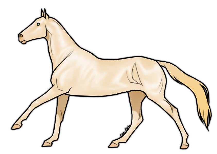 Horse Adoptable: Akhal Teke - SOLD