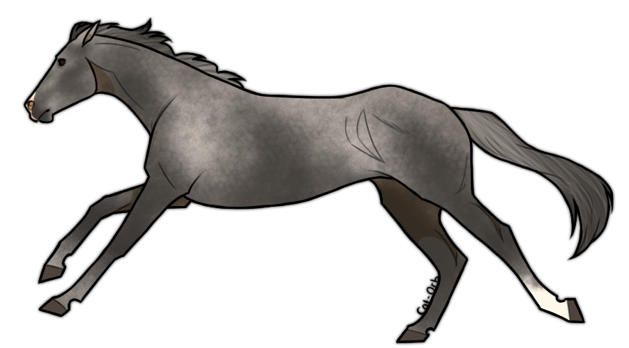 Horse Adoptable: Thoroughbred