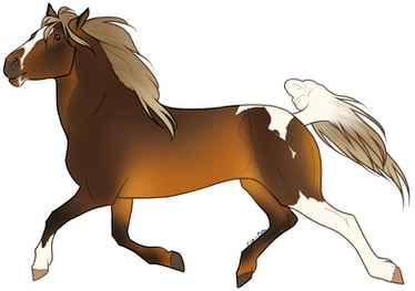 Horse Custom Design: WesternSpice