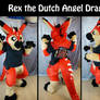 Rex the dutch angel dragon