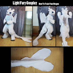 Light fury cosplay