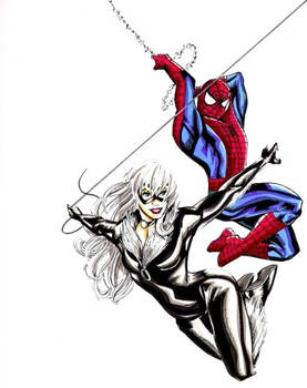 Spider-Man and Black Cat