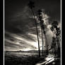 Santa Barbara Beach Front