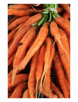 Carrots