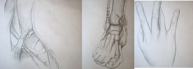 Feet structure + Hand sketches