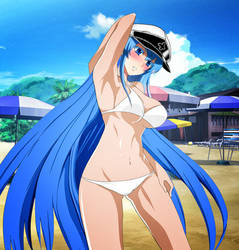 Akame ga Kill Esdese on the beach UPDATE