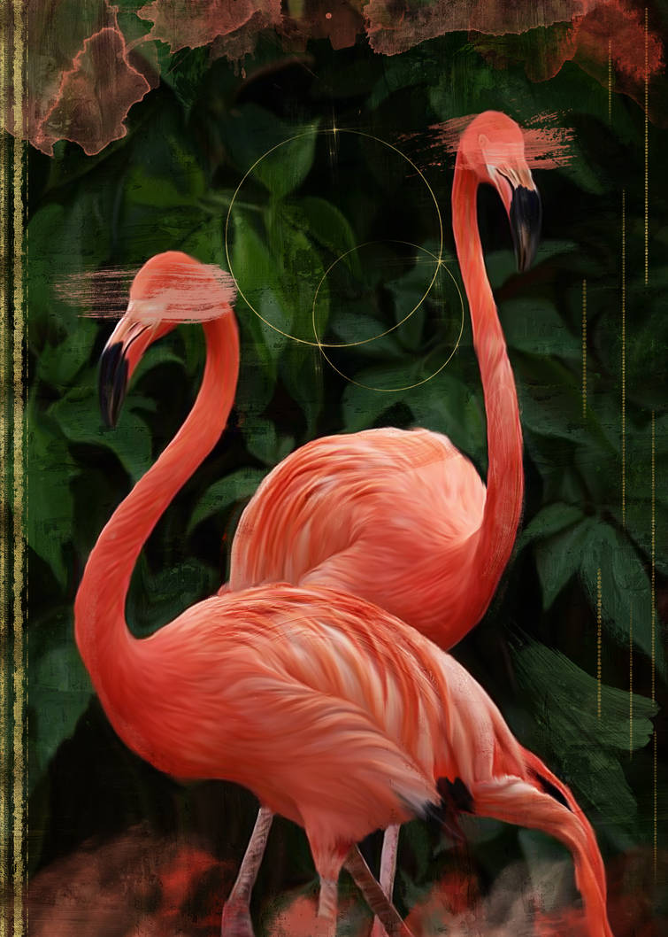 Фломинго. Фламинго обыкновенный розовый. Розовый Фламинго птица. Красный Фламинго. Фламинорог.