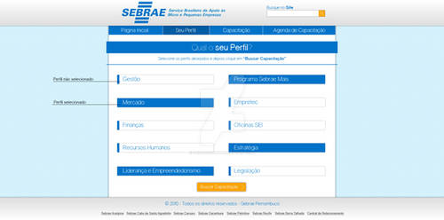 Site de capacitacao SEBRAE