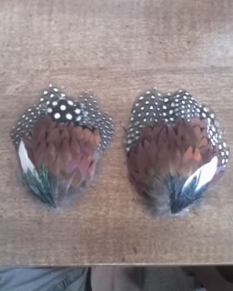 Couture Feather Pasties