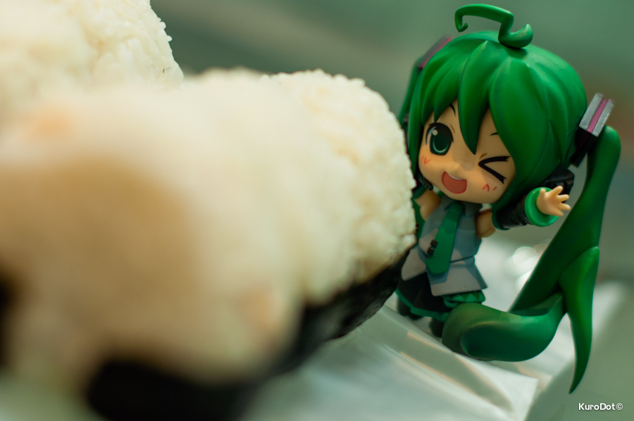 Onigiri Delight