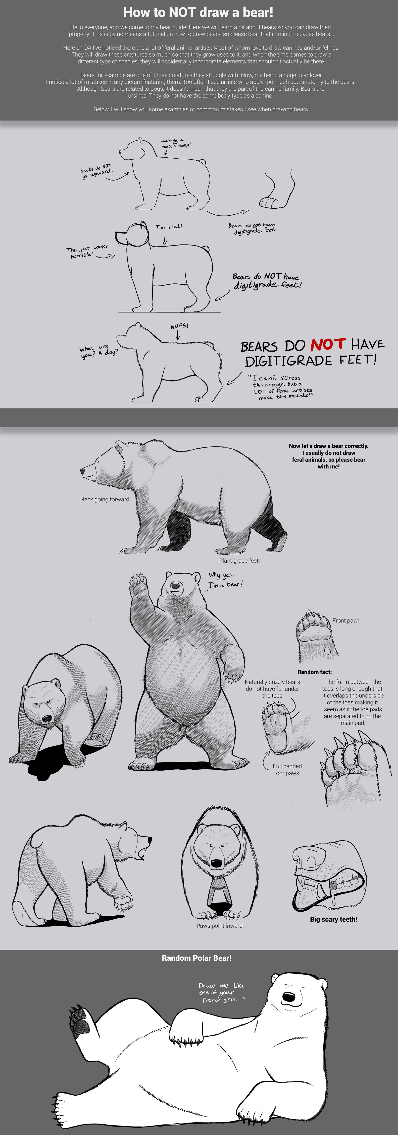 How to not draw a bear.