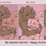 Happy Anniversary, Garnet