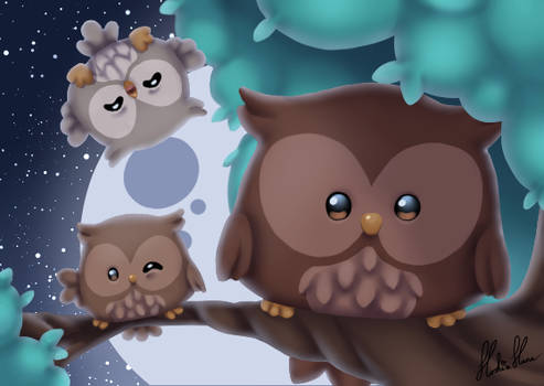 Tiny owl family
